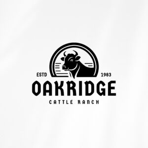 Cattle Ranch Logo Design - Custom Logo Design - Family Ranch Branding Package - Cow Logo Design - Customizable
