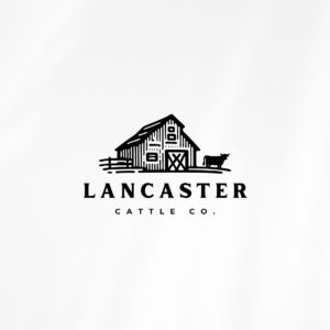 Cattle Co. Logo Design - Custom Logo Design - Cattle Farm Logo Package - Cow Farm Branding - Beef Logo - Cow Logo Design -  Customizable